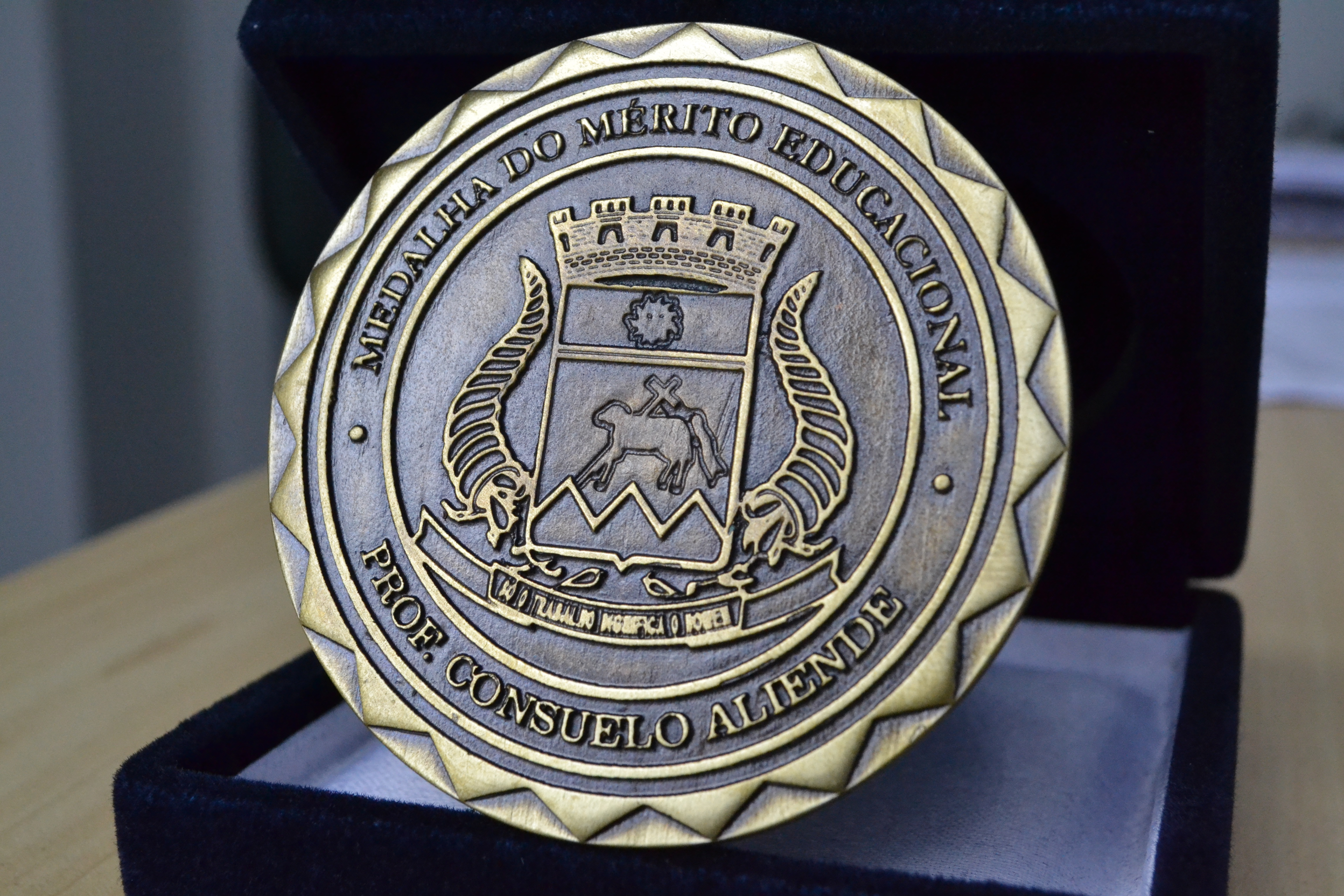Câmara Municipal entregará Medalha de Mérito Educacional nesta sexta-feira