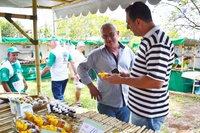 Inaugurada a Feira do Produtor Rural na Avenida Dr. Durval Nicolau, com participação de vereadores